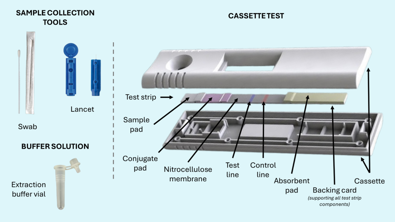 RETRO-RV Multiplex Respiratory Panel